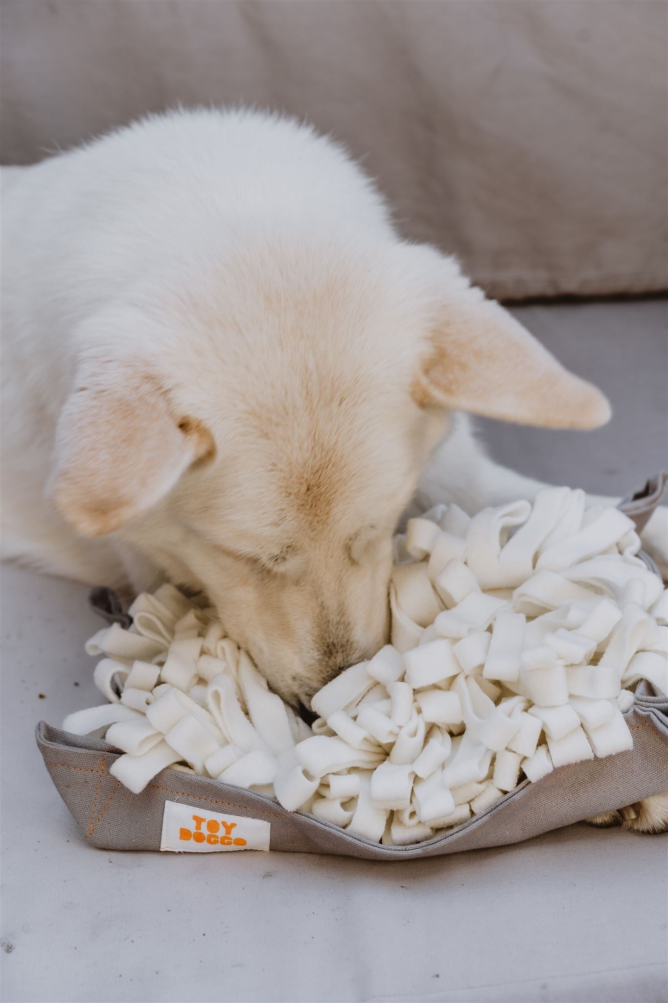 White dog using snuffle mat for foraging